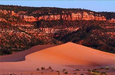 Coral Pink Sandunes near Zion National Park